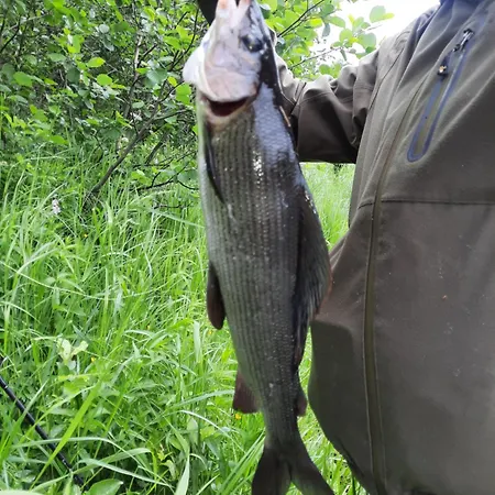 Kutulammen Eraemoekki Saunalla Chalé