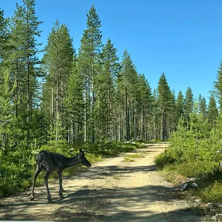Kutulammen Eraemoekki Saunalla Chalet *