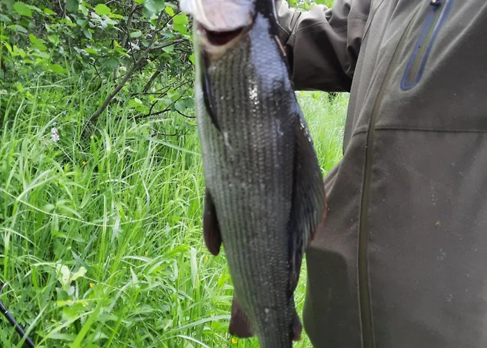 Kutulammen Eraemoekki Saunalla Horská chata