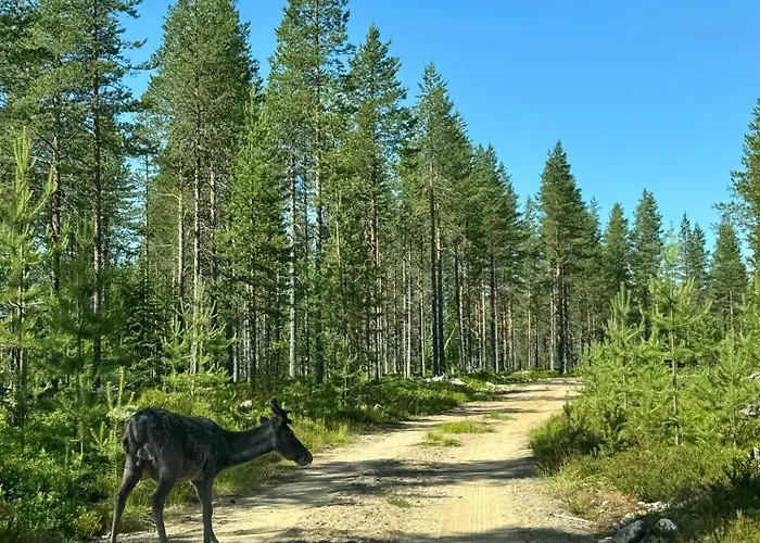 Kutulammen Eraemoekki Saunalla Horská chata *